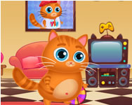 Takarts - Lovely virtual cat